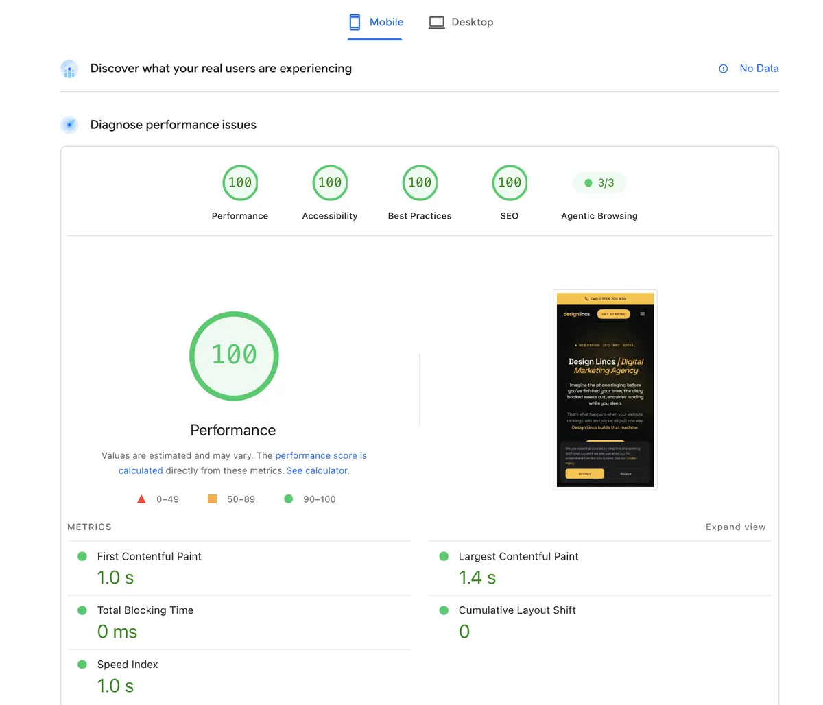 Google PageSpeed Insights showing 100 out of 100 mobile scores for a Design Lincs website in Newark-on-Trent